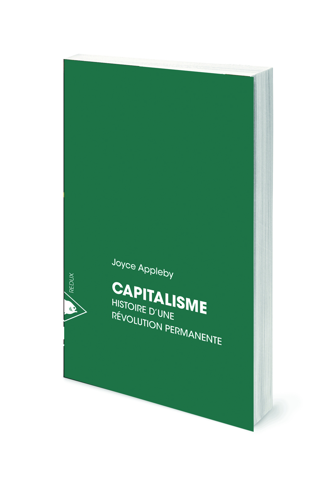 Capitalisme. Histoire d’une révolution permanente